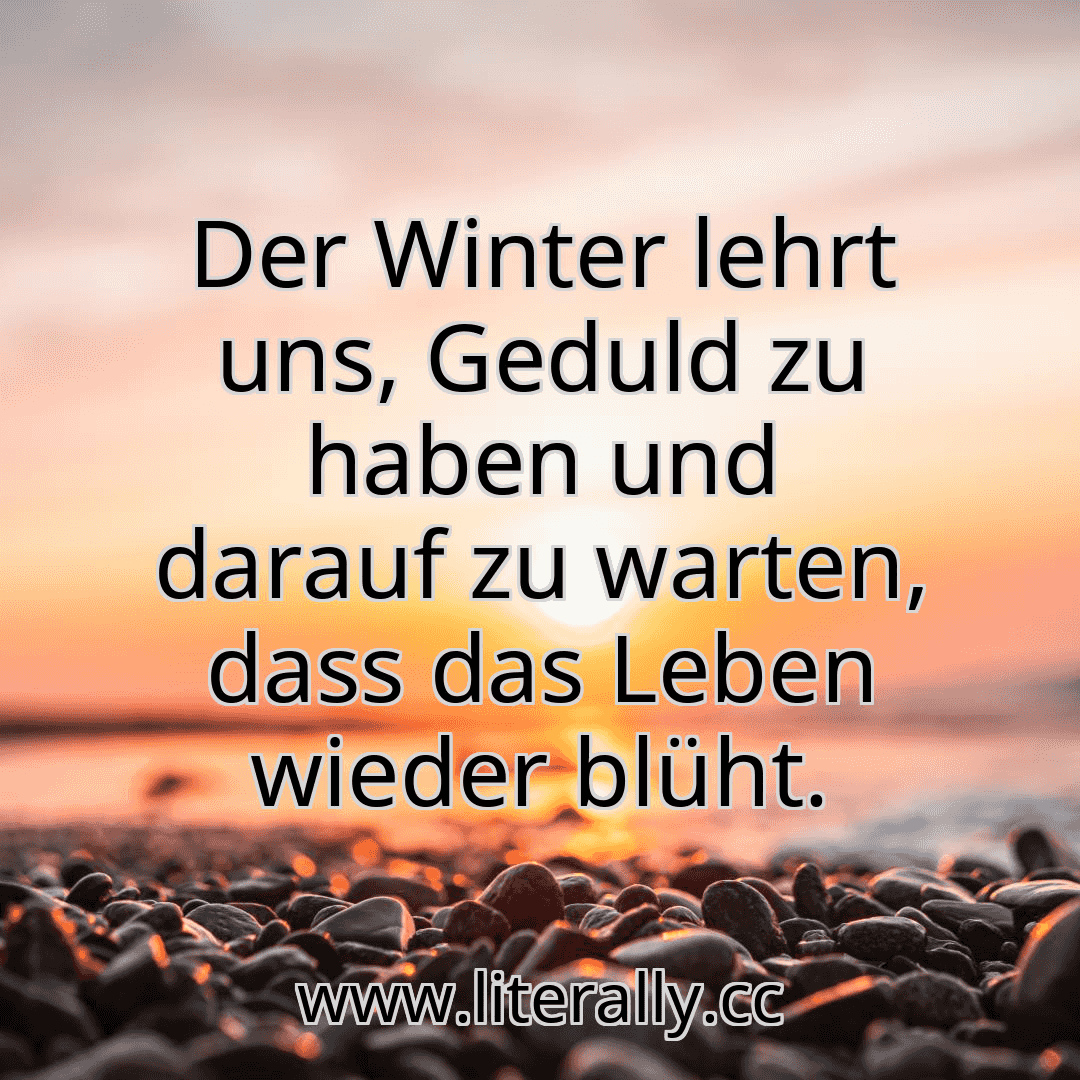 Der Winter lehrt uns, Geduld zu haben und darauf zu warten, dass das Leben wieder blüht.
