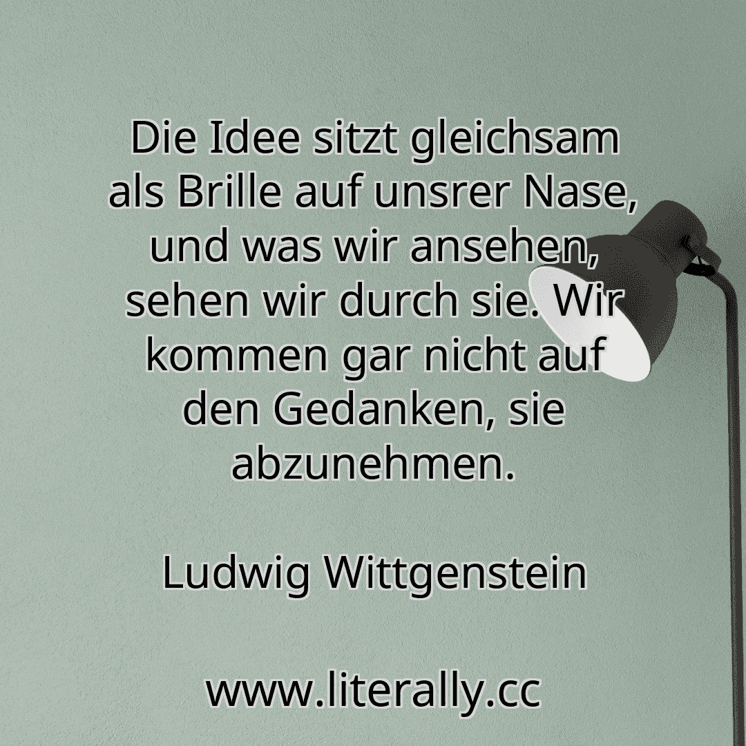 Die Idee sitzt gleichsam als Brille auf unsrer Nase, und was wir ansehen, sehen wir durch sie. Wir kommen gar nicht auf den Gedanken, sie abzunehmen.
Ludwig Wittgenstein
