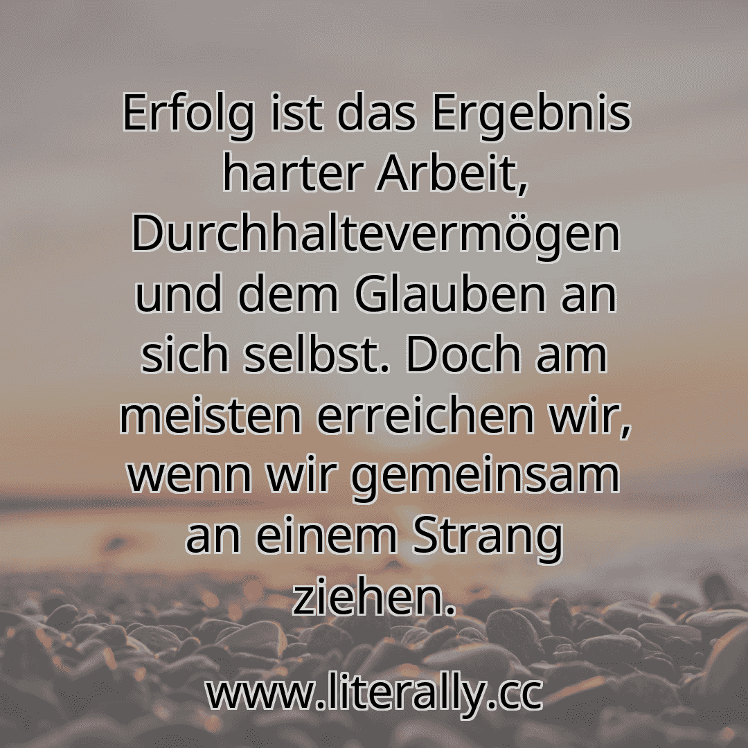 Erfolg ist das Ergebnis harter Arbeit, Durchhaltevermögen und dem Glauben an sich selbst. Doch am meisten erreichen wir, wenn wir gemeinsam an einem Strang ziehen.

