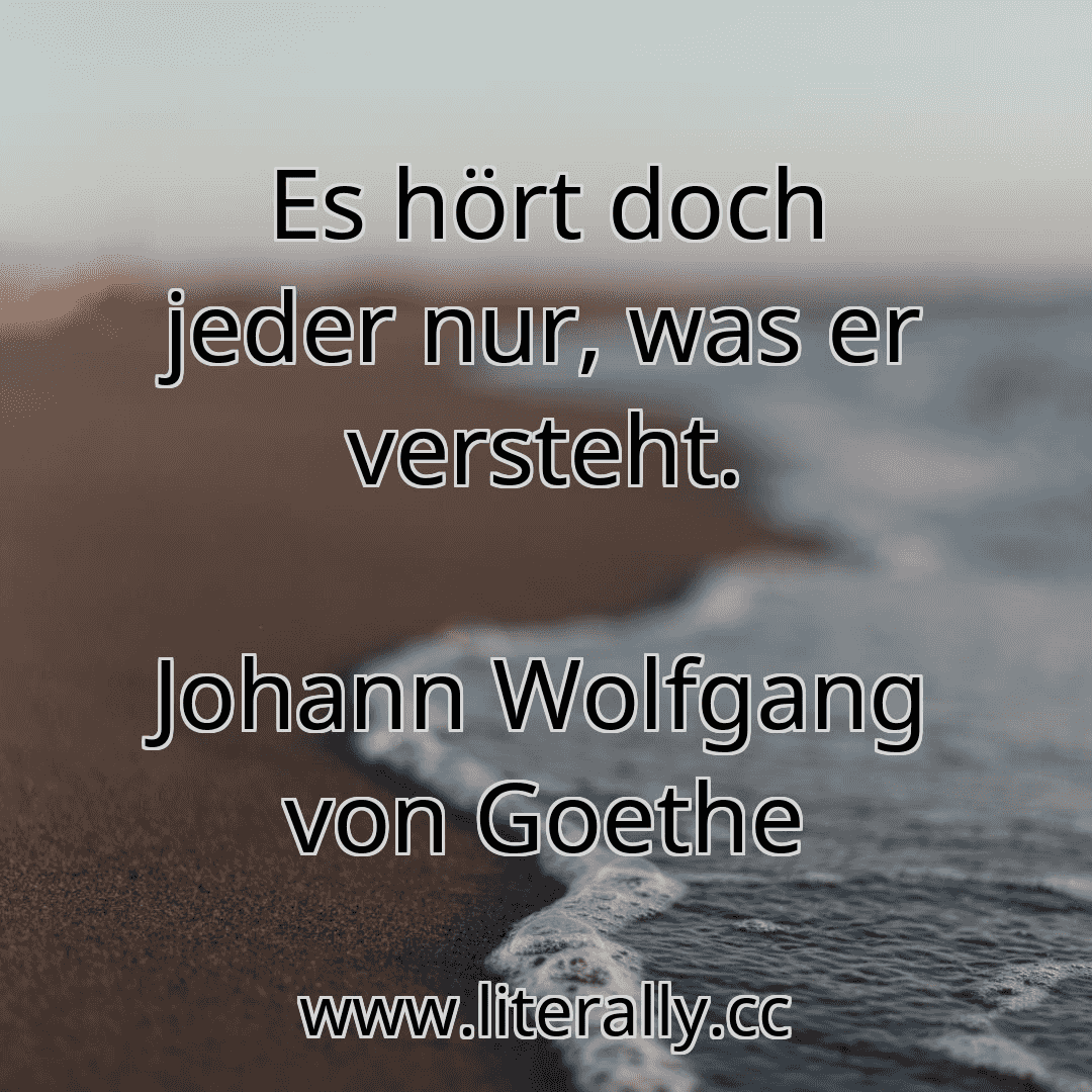 Es hört doch jeder nur, was er versteht.
Johann Wolfgang von Goethe
