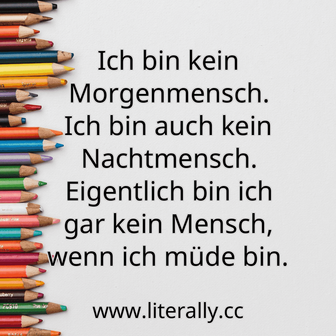 Ich bin kein Morgenmensch. Ich bin auch kein Nachtmensch. Eigentlich bin ich gar kein Mensch, wenn ich müde bin.
