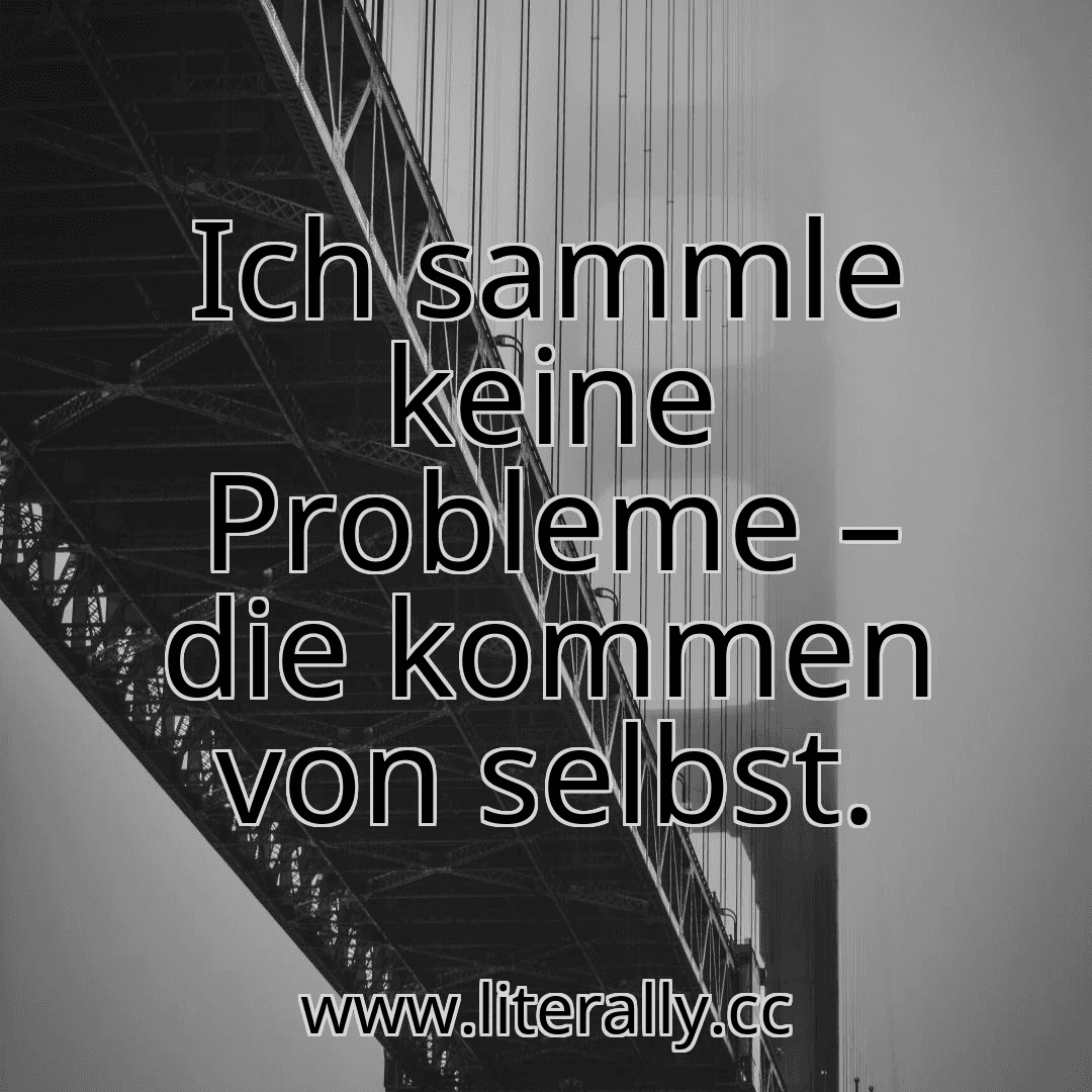 Ich sammle keine Probleme – die kommen von selbst.
