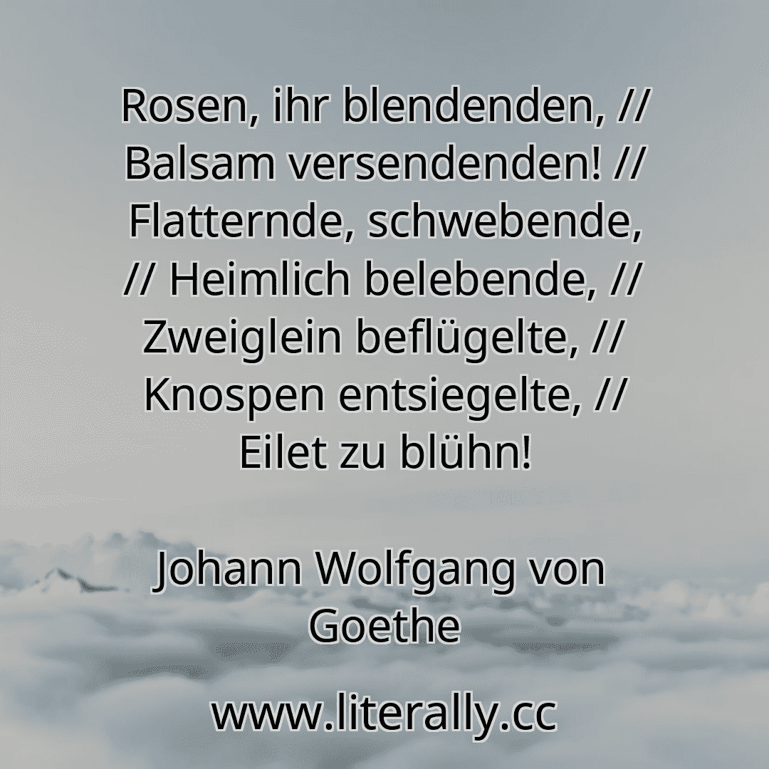 Rosen, ihr blendenden, // Balsam versendenden! // Flatternde, schwebende, // Heimlich belebende, // Zweiglein beflügelte, // Knospen entsiegelte, // Eilet zu blühn!
Johann Wolfgang von Goethe
