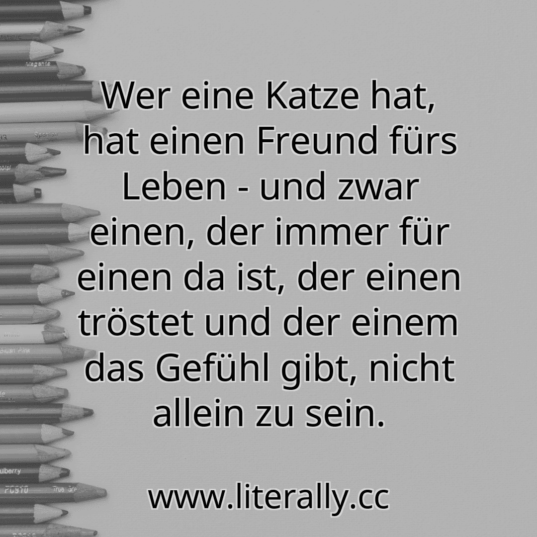 Wer eine Katze hat, hat einen Freund fürs Leben - und zwar einen, der immer für einen da ist, der einen tröstet und der einem das Gefühl gibt, nicht allein zu sein.
