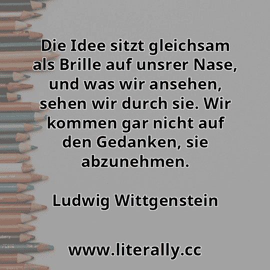 Die Idee sitzt gleichsam als Brille auf unsrer Nase, und was wir ansehen, sehen wir durch sie. Wir kommen gar nicht auf den Gedanken, sie abzunehmen.
Ludwig Wittgenstein
