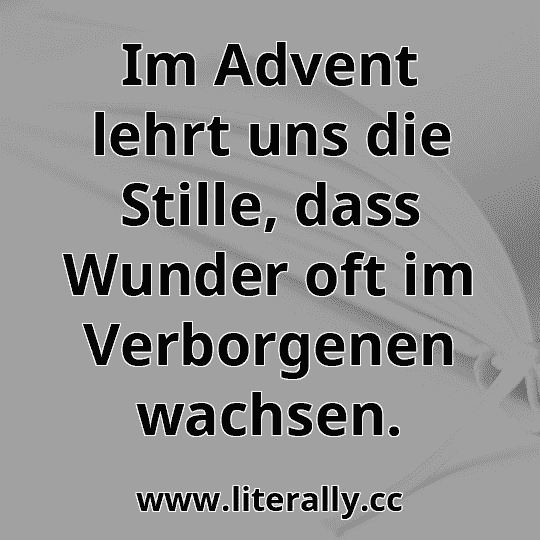 Im Advent lehrt uns die Stille, dass Wunder oft im Verborgenen wachsen.

