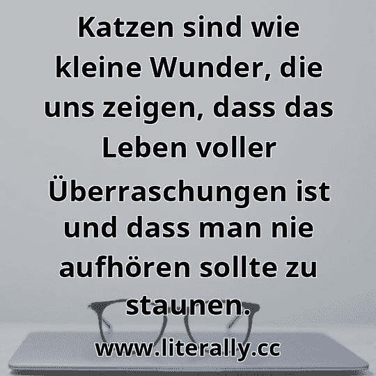 Katzen sind wie kleine Wunder, die uns zeigen, dass das Leben voller Überraschungen ist und dass man nie aufhören sollte zu staunen.

