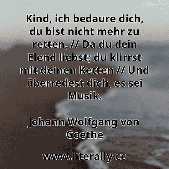 Kind, ich bedaure dich, du bist nicht mehr zu retten, // Da du dein Elend liebst; du klirrst mit deinen Ketten // Und überredest dich, es sei Musik.
Johann Wolfgang von Goethe
