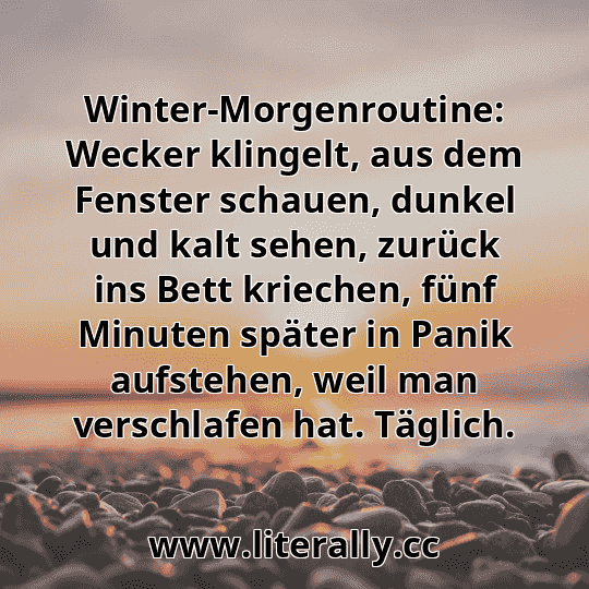 Winter-Morgenroutine: Wecker klingelt, aus dem Fenster schauen, dunkel und kalt sehen, zurück ins Bett kriechen, fünf Minuten später in Panik aufstehen, weil man verschlafen hat. Täglich.
